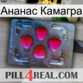 Ананас Камагра 13